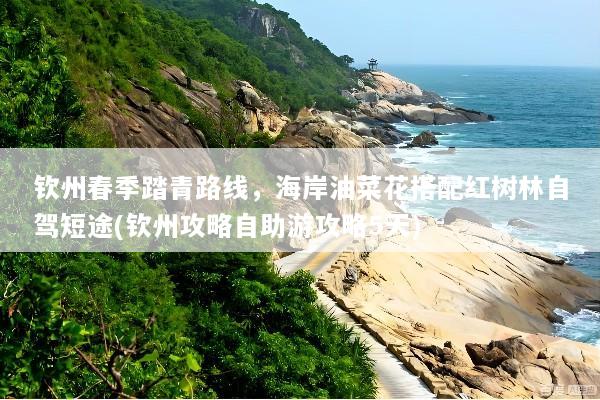 钦州春季踏青路线，海岸油菜花搭配红树林自驾短途(钦州攻略自助游攻略5天)