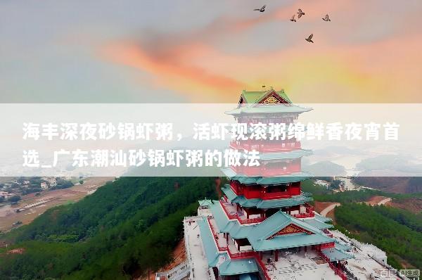 海丰深夜砂锅虾粥，活虾现滚粥绵鲜香夜宵首选_广东潮汕砂锅虾粥的做法