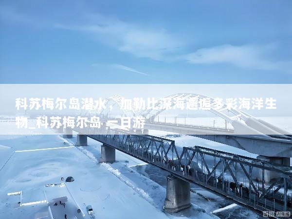科苏梅尔岛潜水，加勒比深海邂逅多彩海洋生物_科苏梅尔岛 一日游
