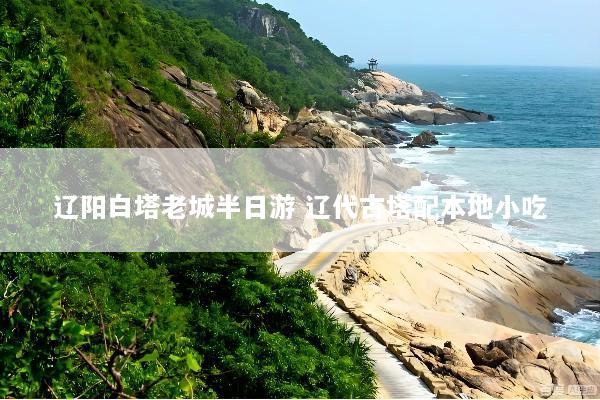 辽阳白塔老城半日游 辽代古塔配本地小吃