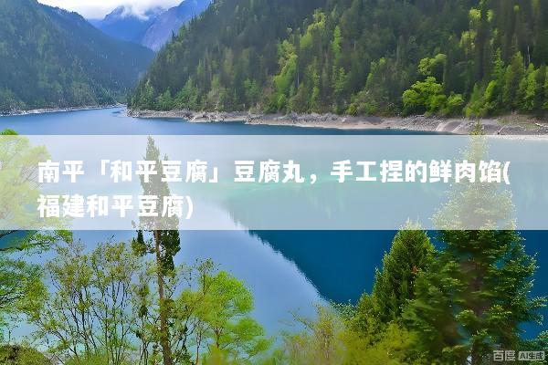 南平「和平豆腐」豆腐丸，手工捏的鲜肉馅(福建和平豆腐)