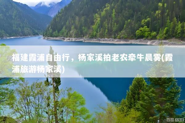 福建霞浦自由行，杨家溪拍老农牵牛晨雾(霞浦旅游杨家溪)