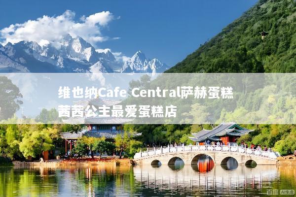 维也纳Cafe Central萨赫蛋糕 茜茜公主最爱蛋糕店