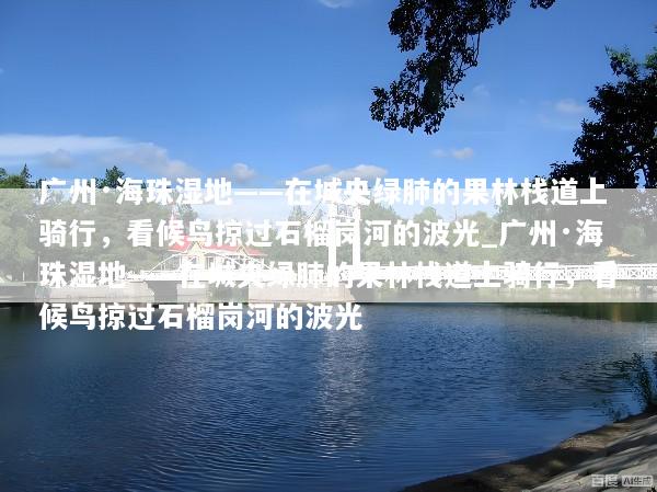 广州·海珠湿地——在城央绿肺的果林栈道上骑行，看候鸟掠过石榴岗河的波光_广州·海珠湿地——在城央绿肺的果林栈道上骑行，看候鸟掠过石榴岗河的波光