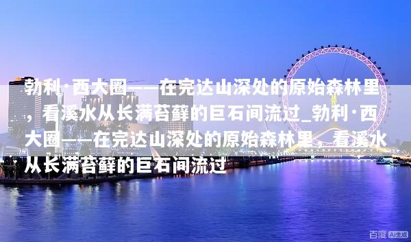 勃利·西大圈——在完达山深处的原始森林里，看溪水从长满苔藓的巨石间流过_勃利·西大圈——在完达山深处的原始森林里，看溪水从长满苔藓的巨石间流过