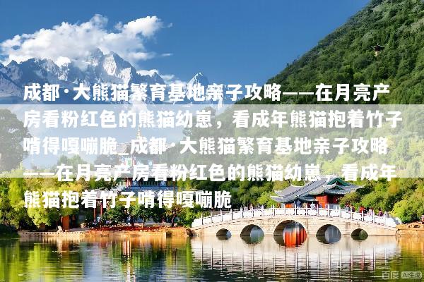 成都·大熊猫繁育基地亲子攻略——在月亮产房看粉红色的熊猫幼崽，看成年熊猫抱着竹子啃得嘎嘣脆_成都·大熊猫繁育基地亲子攻略——在月亮产房看粉红色的熊猫幼崽，看成年熊猫抱着竹子啃得嘎嘣脆
