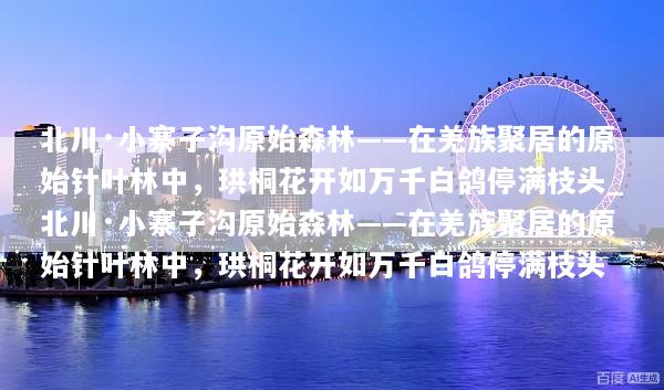 北川·小寨子沟原始森林——在羌族聚居的原始针叶林中，珙桐花开如万千白鸽停满枝头_北川·小寨子沟原始森林——在羌族聚居的原始针叶林中，珙桐花开如万千白鸽停满枝头
