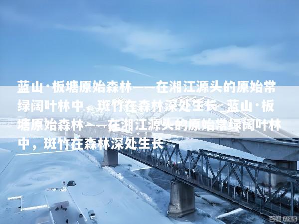 蓝山·板塘原始森林——在湘江源头的原始常绿阔叶林中，斑竹在森林深处生长_蓝山·板塘原始森林——在湘江源头的原始常绿阔叶林中，斑竹在森林深处生长