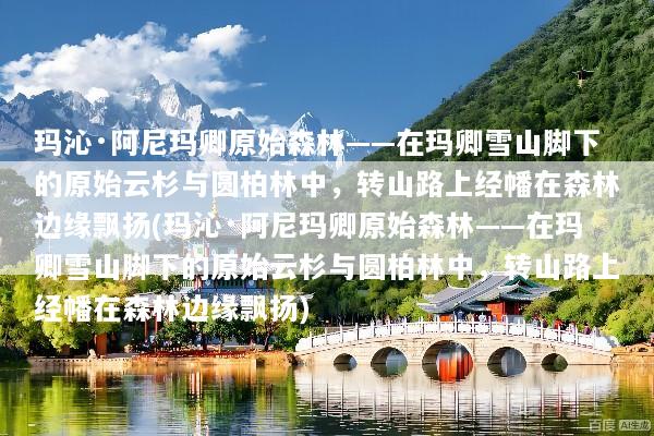 玛沁·阿尼玛卿原始森林——在玛卿雪山脚下的原始云杉与圆柏林中，转山路上经幡在森林边缘飘扬(玛沁·阿尼玛卿原始森林——在玛卿雪山脚下的原始云杉与圆柏林中，转山路上经幡在森林边缘飘扬)