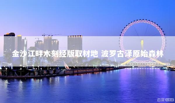 金沙江畔木刻经版取材地 波罗古泽原始森林