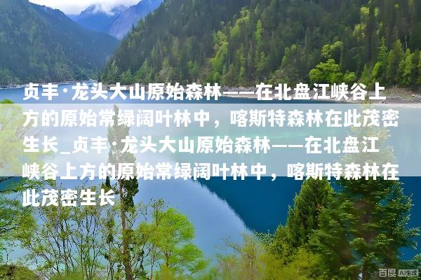 贞丰·龙头大山原始森林——在北盘江峡谷上方的原始常绿阔叶林中，喀斯特森林在此茂密生长_贞丰·龙头大山原始森林——在北盘江峡谷上方的原始常绿阔叶林中，喀斯特森林在此茂密生长