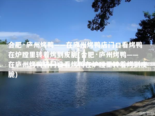 合肥·庐州烤鸭——在庐州烤鸭店门口看烤鸭在炉膛里转着烤到皮脆(合肥·庐州烤鸭——在庐州烤鸭店门口看烤鸭在炉膛里转着烤到皮脆)