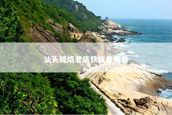 汕头蚝烙老店铁板焦脆香