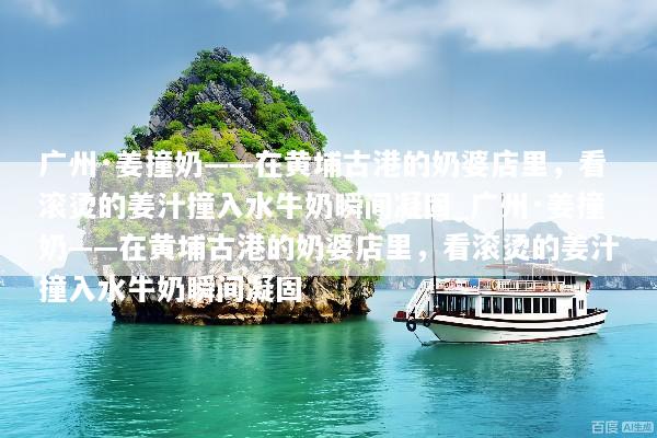 广州·姜撞奶——在黄埔古港的奶婆店里，看滚烫的姜汁撞入水牛奶瞬间凝固_广州·姜撞奶——在黄埔古港的奶婆店里，看滚烫的姜汁撞入水牛奶瞬间凝固