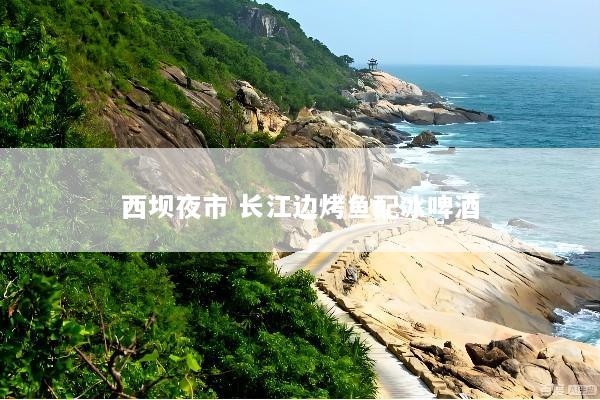 西坝夜市 长江边烤鱼配冰啤酒
