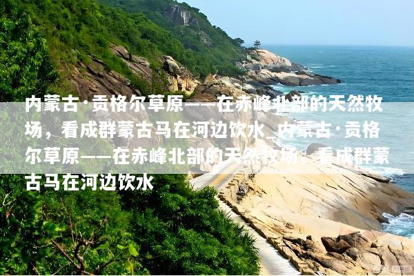 内蒙古·贡格尔草原——在赤峰北部的天然牧场，看成群蒙古马在河边饮水_内蒙古·贡格尔草原——在赤峰北部的天然牧场，看成群蒙古马在河边饮水