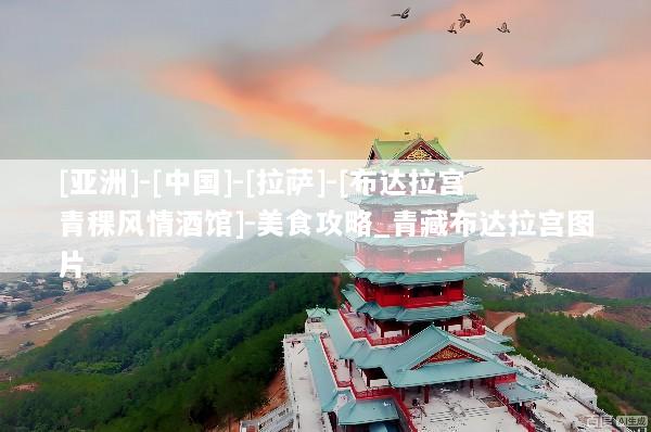 [亚洲]-[中国]-[拉萨]-[布达拉宫青稞风情酒馆]-美食攻略_青藏布达拉宫图片