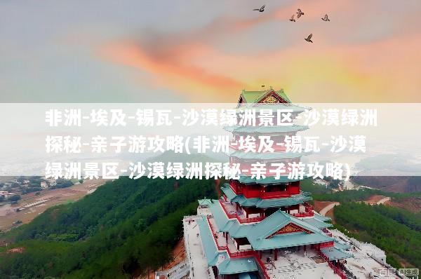 非洲-埃及-锡瓦-沙漠绿洲景区-沙漠绿洲探秘-亲子游攻略(非洲-埃及-锡瓦-沙漠绿洲景区-沙漠绿洲探秘-亲子游攻略)